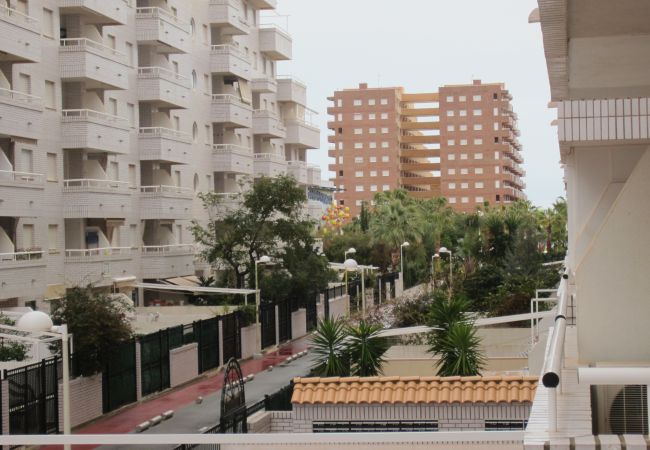 Apartamento en Oropesa del Mar - Marina Trebol III 1º