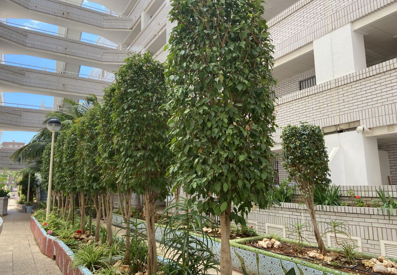 Apartamento en Oropesa del Mar - Marina Trebol III 1º